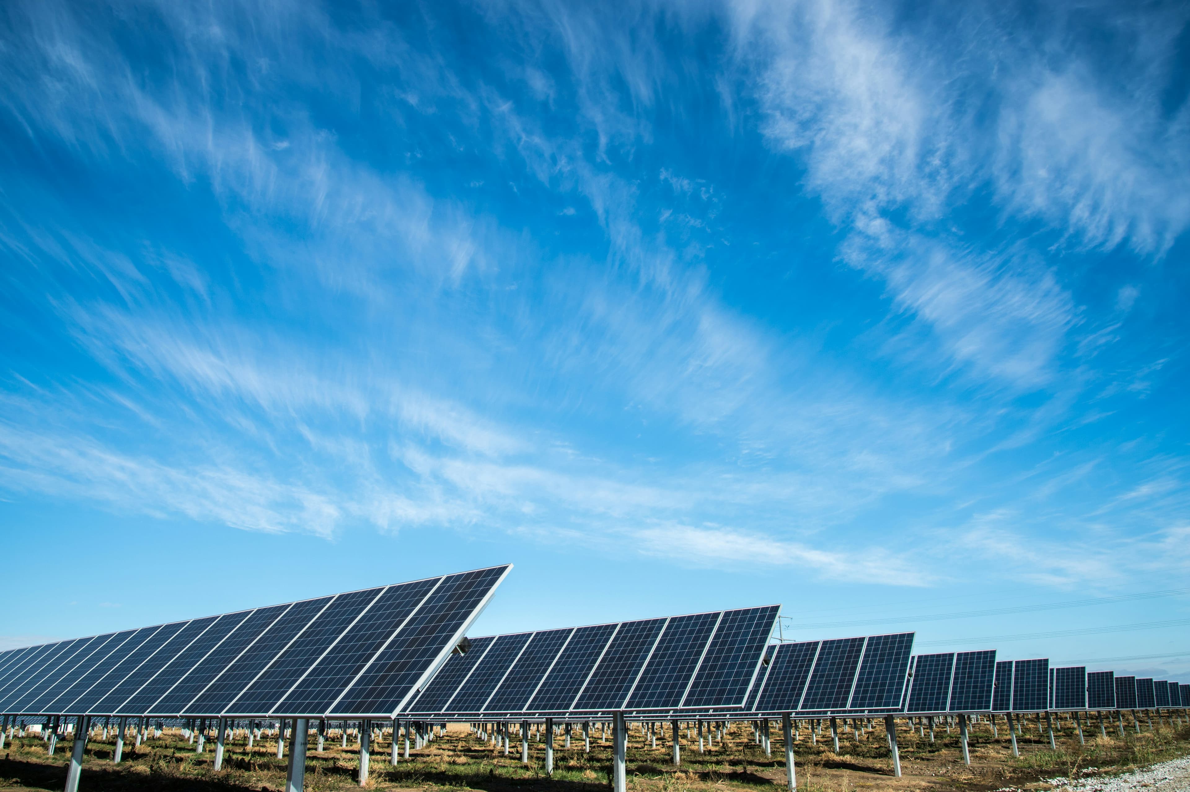 The Future of Renewable Energy